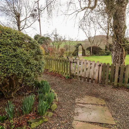 Vakantiehuis Woodpecker *